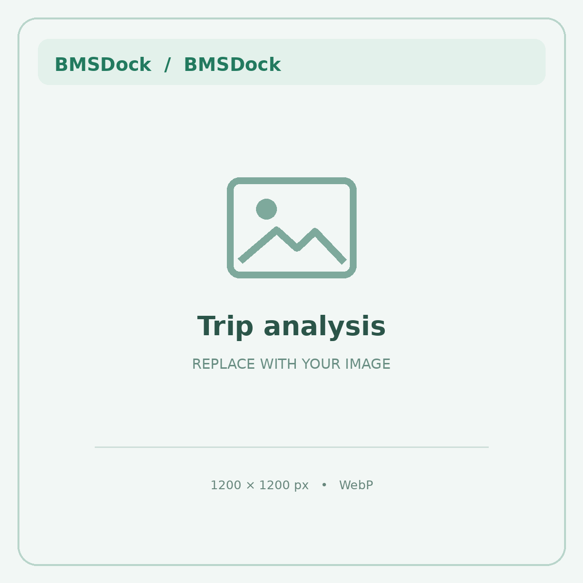Análisis en BMSDock