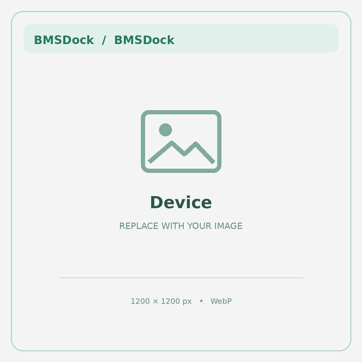 Dispositivo BMSDock