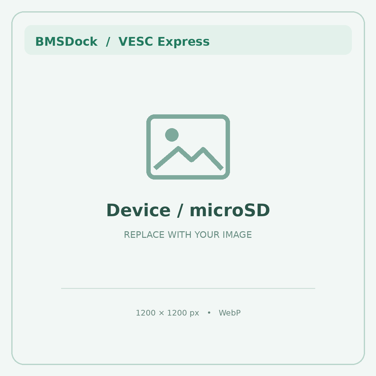 VESC Express